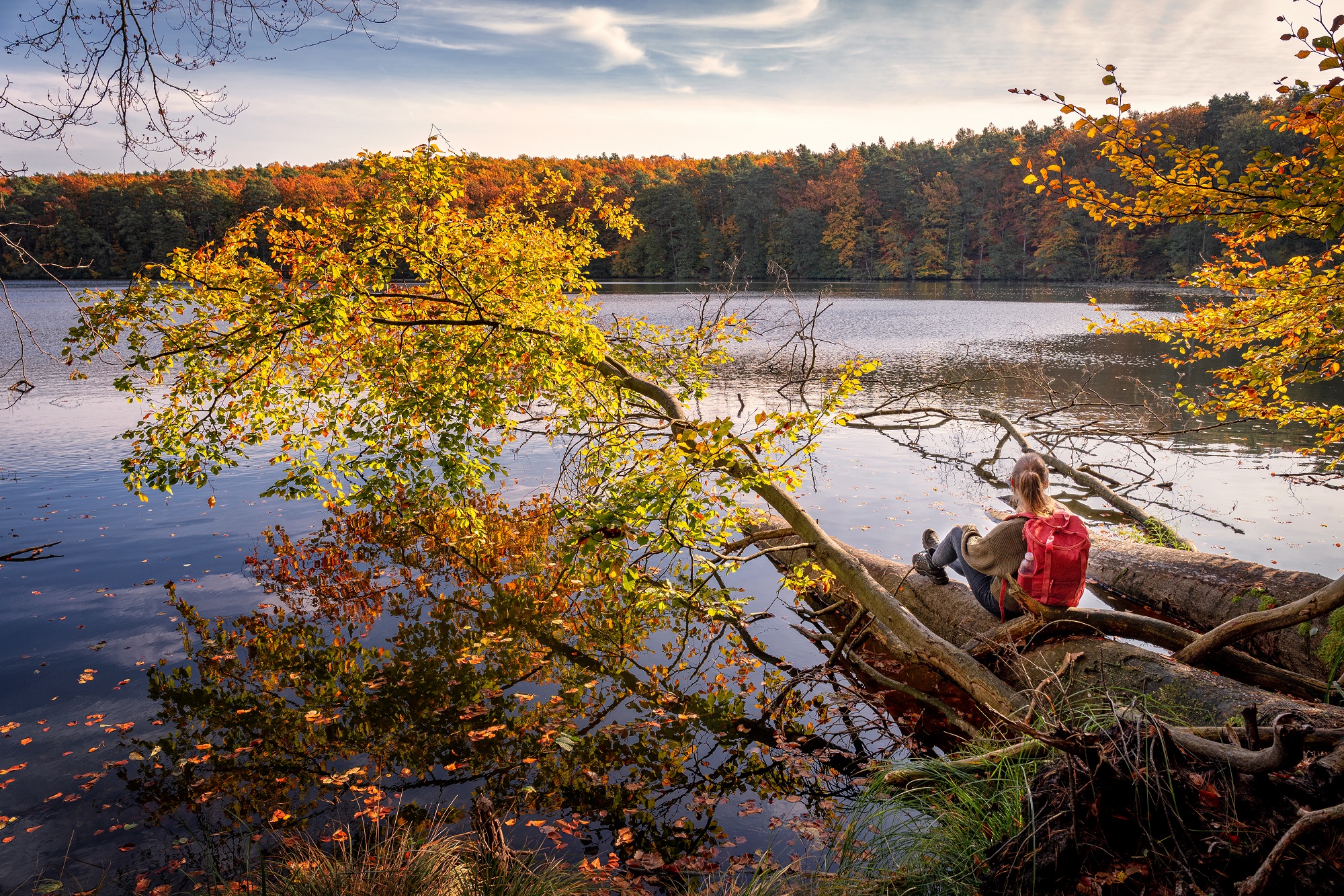 Schlaubetal-Wanderweg, Foto: Florian Läufer, Lizenz: Seenland Oder-Spree